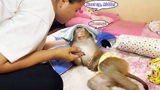 Monkey Lyly was stunned by the sudden change in weather and her mother's reaction afterwards...