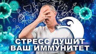 Простой способ снять стресс и укрепить  иммунитет!