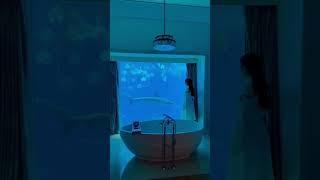 Hips don't lie II Sakrira  #music #musica #remix #pop #explore #cover #dance #travel #viral #short
