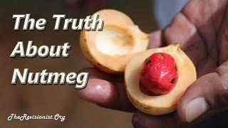 Nutmeg – An Overview of a Psychoactive Spice with Therapeutic Properties