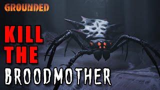 Grounded Tips & Tricks: Kill the Hedge Broodmother?!