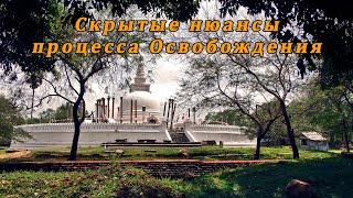 Скрытые нюансы процесса Освобождения