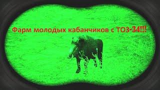 500к за час Фарм на молодых кабанчиках В (STAY OUT) STALKER ONLINE  MSK Farming on young wild boars