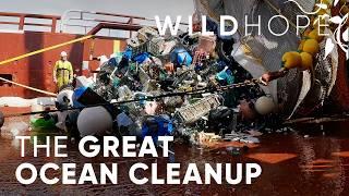 Stopping Ocean Plastic Pollution at its Source | WILD HOPE