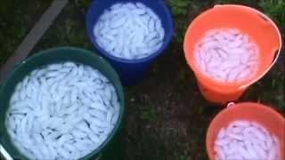 ALS Ice Bucket Challenge by Colonel Reb's Scale Models