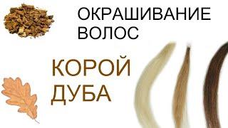 Кора дуба окрашивает волосы