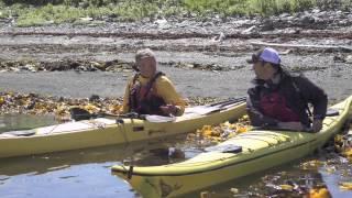 Exploring Newfoundland in a Kayak