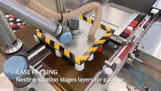 Packing Machine | Full End-of-Line Packaging Automation | Custom Machine | ONExia Inc