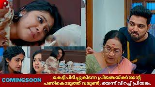 VarunRadhika serial COMINGSOON PROMO Review #snehapoorvamshyama