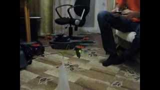 Parrot Ar.Drone 2.0  Сколько может поднять. Тест 500 грам