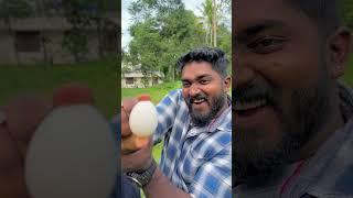 Egg Challenge | PsychoAliyanz #psychoaliyanz #challenge #youtubeshorts #eggchallenge