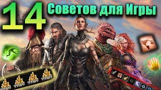 Divinity Original Sin 2  - 14 Самых Главных Советов для Успешной Игры