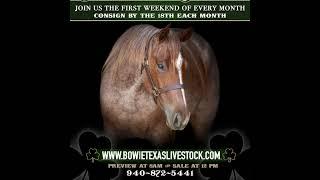 Bowie TX Horse Sale Live Stream