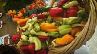 15 Second Vlog: Farmers Market