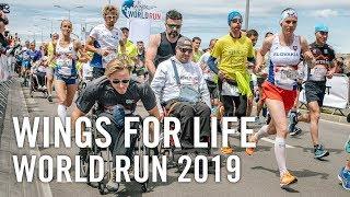 Wings for Life World Run FULL Highlights 2019