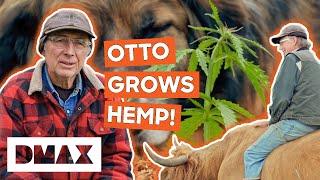 Otto Kilcher Grows Hemp On The Homestead! | Alaska: The Last Frontier