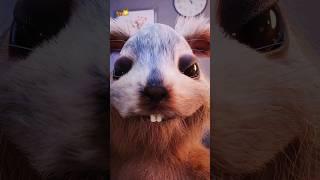 Kal has fun  #squirrel #egofilm