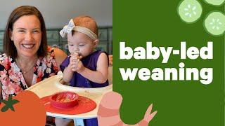 Baby-Led Weaning with Katie Ferraro