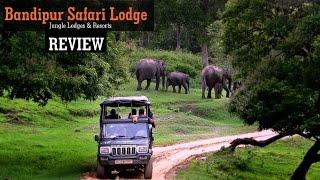 Bandipur Safari - Jungle Lodges & Resorts I World Ghoomo