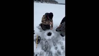 Huge Pewaukee Lake musky ice fishing!