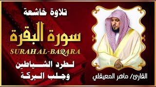 الشيخ ماهر المعيقلي سورة البقرة النسخة الأصلية  Surat Al Fatihah Official Audio