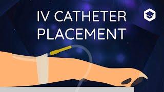 IV Catheter Placement in Dogs