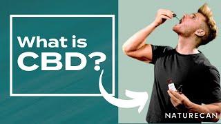 What is CBD oil? The all-natural plant extract 