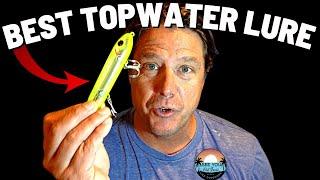 The best TOPWATER lure for fishing