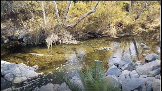 Spooks Canyon Hike-Secret Hike in San Diego!   Socal Wanderer Vlog #1!