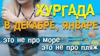 Египет. Хургада.  Погода в январе, декабре. Это не про море, это не про пляж. Обзор. #отпусксбмв