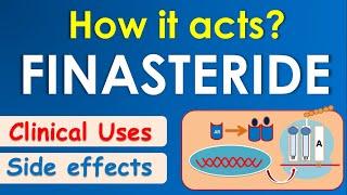 Finasteride || How it acts? || Mechanism, side effects & uses