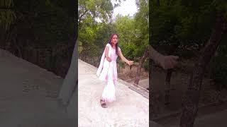 #video - हरनवे धई धई दबाता - #Samar Singh - Haranawe Dhai Dhai Dabata - #neharaj -Bhojpuri Song 2025