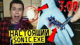 Я СДЕЛАЛ ГОМУНКУЛА  SONIC.EXE С ЕГО КРОВИ И ЯЙЦА *настоящий соник*