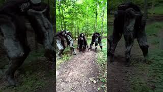 Spiritwalker and Sprite get ambushed #spritewalker #spiritwalker #wraithwalker #shortfilm #stilts