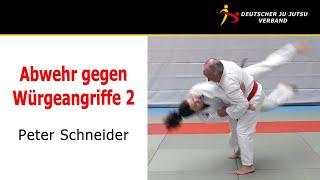 Teil 2 - Jiu-Jitsu Abwehr gegen Würgen von hinten / Peter Schneider