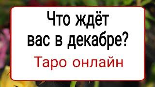 Что ждёт вас в декабре? |  Таро Онлайн | Тайна Жрицы |