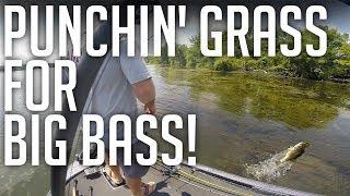 Punching Grass For BIG BASS! || We Lost Some GIANTS! Lake Chickamauga