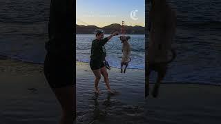 These are the best beaches in the San Francisco Bay Area