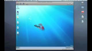 Windows 7 in Parallels Desktop - Boot & ShutDown Time
