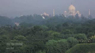 The Magnificent Taj Mahal