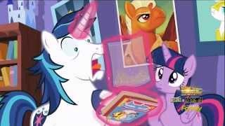 Shining Armor reacting to Twilight's surprise