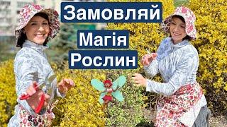 Новинки в магазині Магія рослин - японський інструмент для садівництва