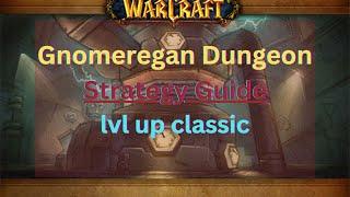 Skip Run Gnomeregan Dungeon Strategy Guide/ lvl up classic