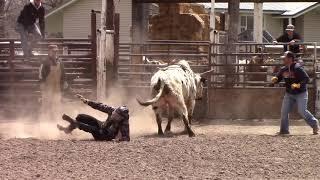 Wiley Petersen's SE Idaho Bull Riding Clinic - Day 2