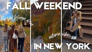 the perfect fall weekend in ny  fall foliage drive, day trip upstate, pumpkin carving