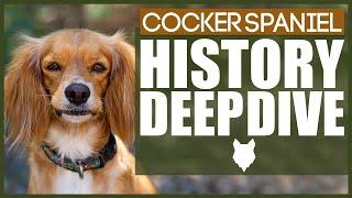 History Of The COCKER SPANIEL