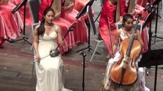 菊花台 二胡，大提琴 二重奏 Erhu Cello Orchestra Chrysanthemum Terrace