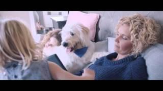 Battersea Dogs & Cats Home - Who Needs Who?
