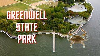Fishing Greenwell State Park | Patuxent River MD (Blue Crabs, White Perch, Spot)