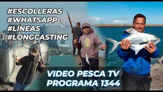 Excellent silverside fishing at the breakwaters, varied, long casting, useful tips, prog #1344